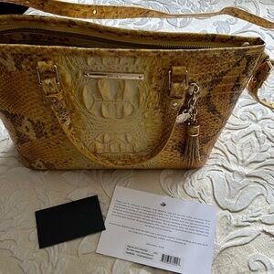 Brahmin mini Asher in Canary Ombré Melbourne